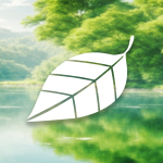 本日の天気は晴れですね。テスト投稿です